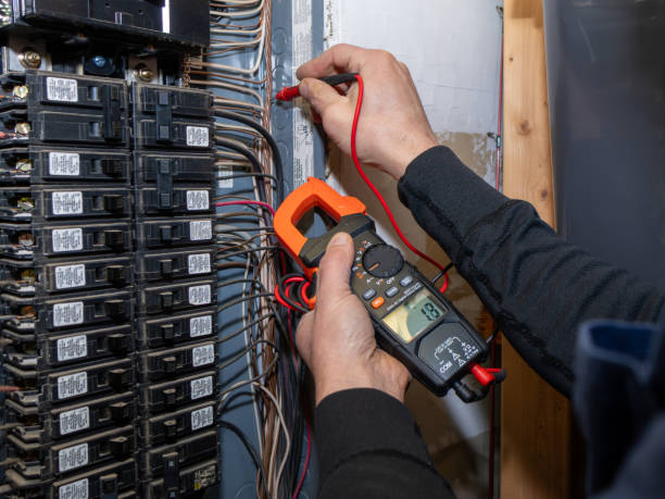 Best Electrician for Home Renovation  in Woodville, MS
